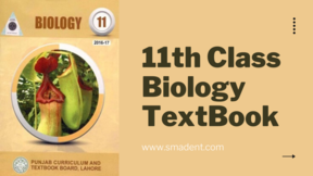 11th class Biology text book